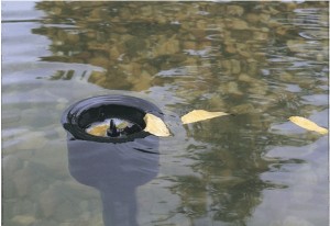 AquaSkim_20_2